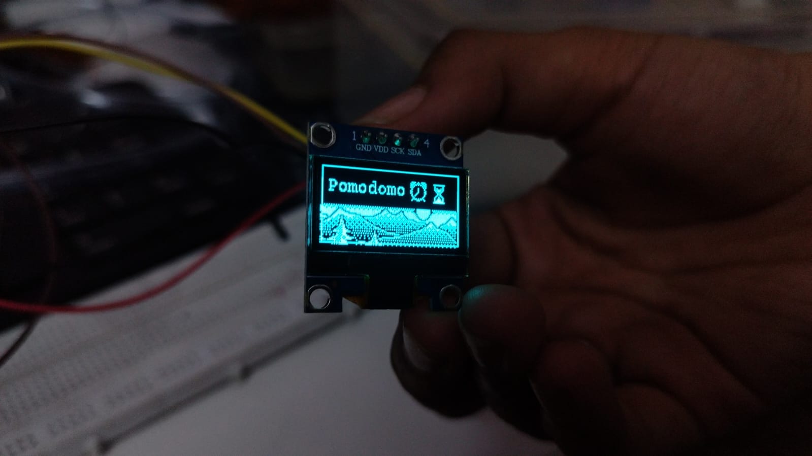 OLED display interface